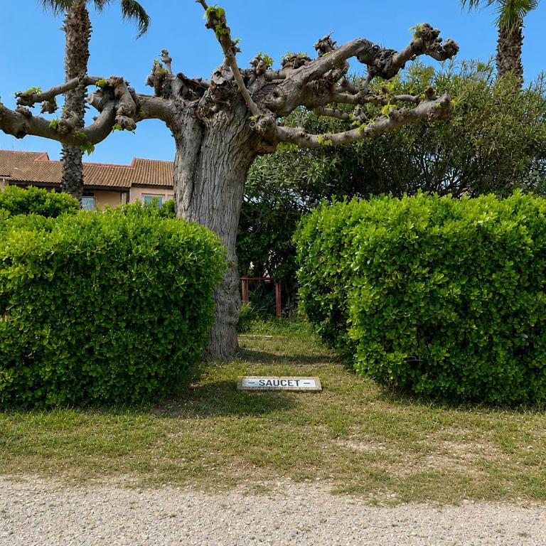 Palhawai - Sable doré et bleu infini - Appartement 2 Chambres avec Terrasse et Vue sur la Mer - 18