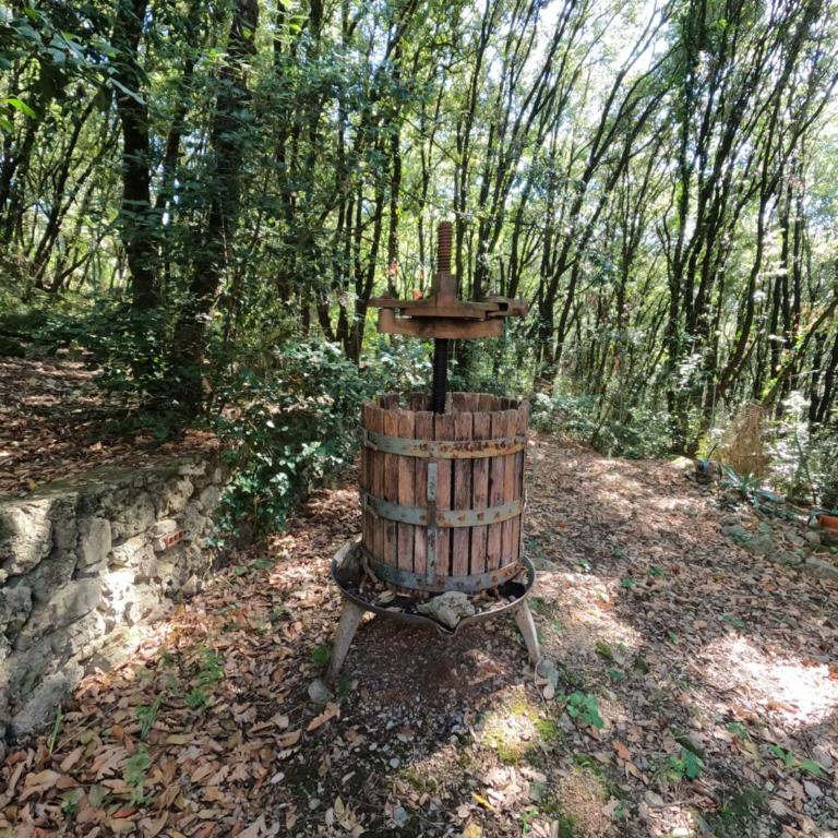 Umbria in Bici Guest House - Appartamento con 1 Camera da Letto - 26
