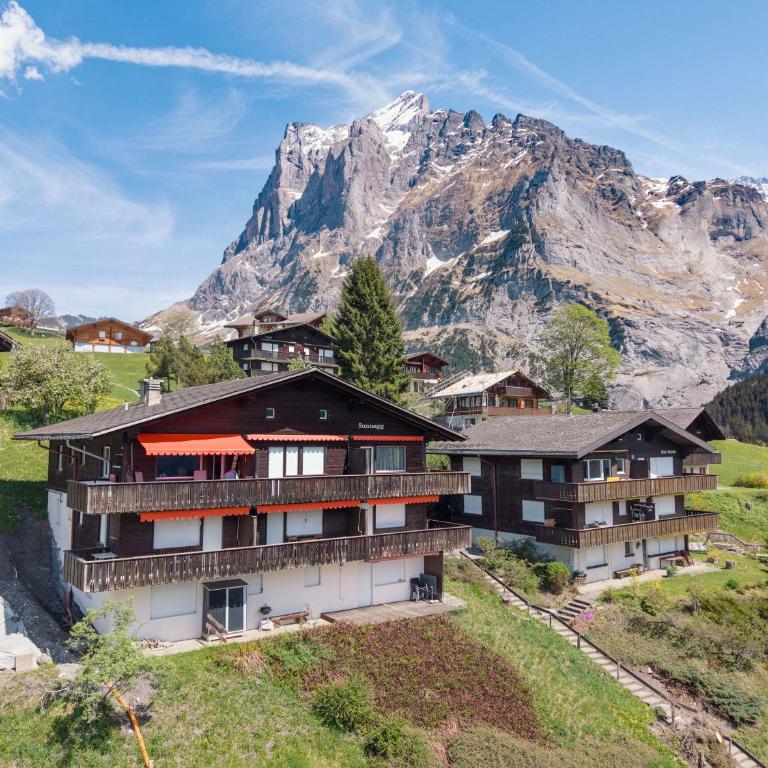 Mountain View Apartment in Grindelwald - Apartment - 11