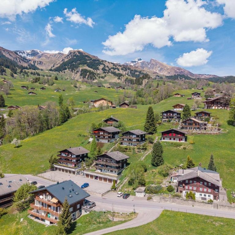 Mountain View Apartment in Grindelwald - Apartment - 17