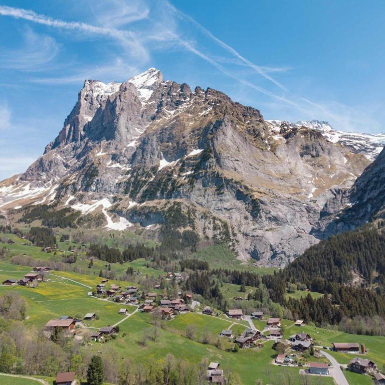 Mountain View Apartment in Grindelwald - Apartment - 18