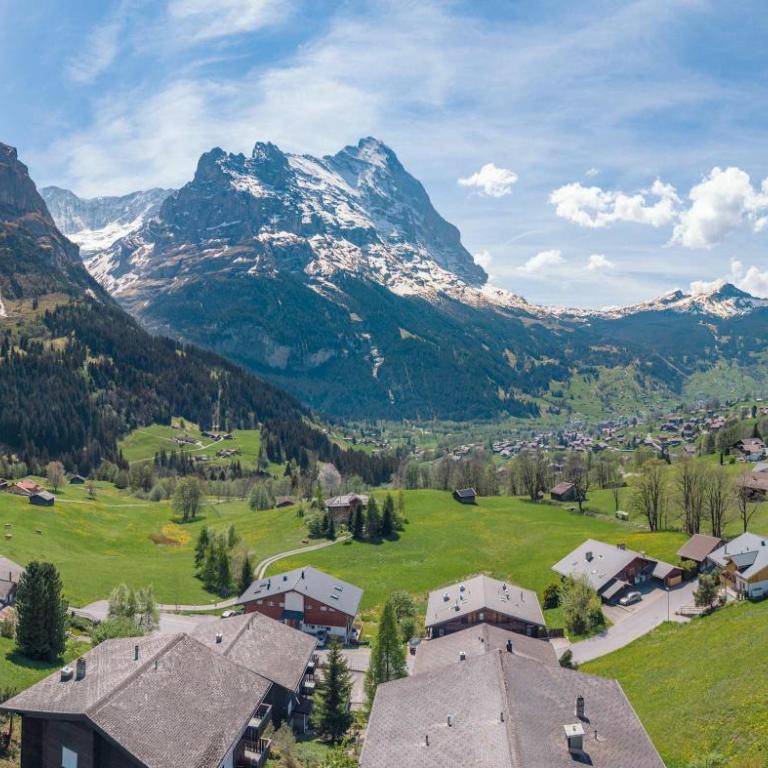 Mountain View Apartment in Grindelwald - Apartment - 24