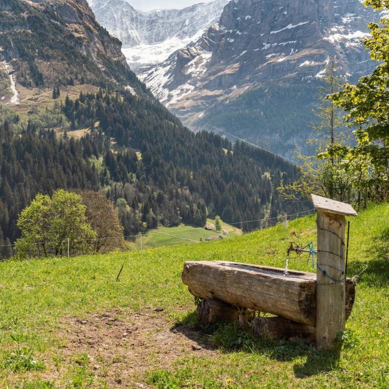 Mountain View Apartment in Grindelwald - Apartment - 21