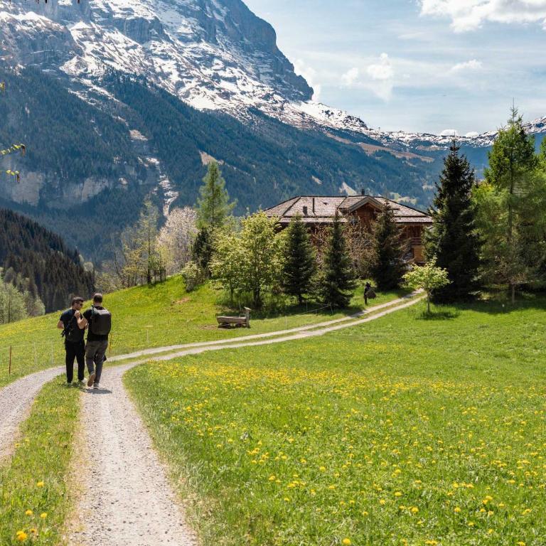 Mountain View Apartment in Grindelwald - Apartment - 20