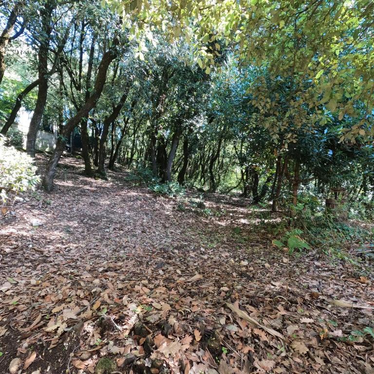 Umbria in Bici Guest House - Appartamento con 1 Camera da Letto - 28