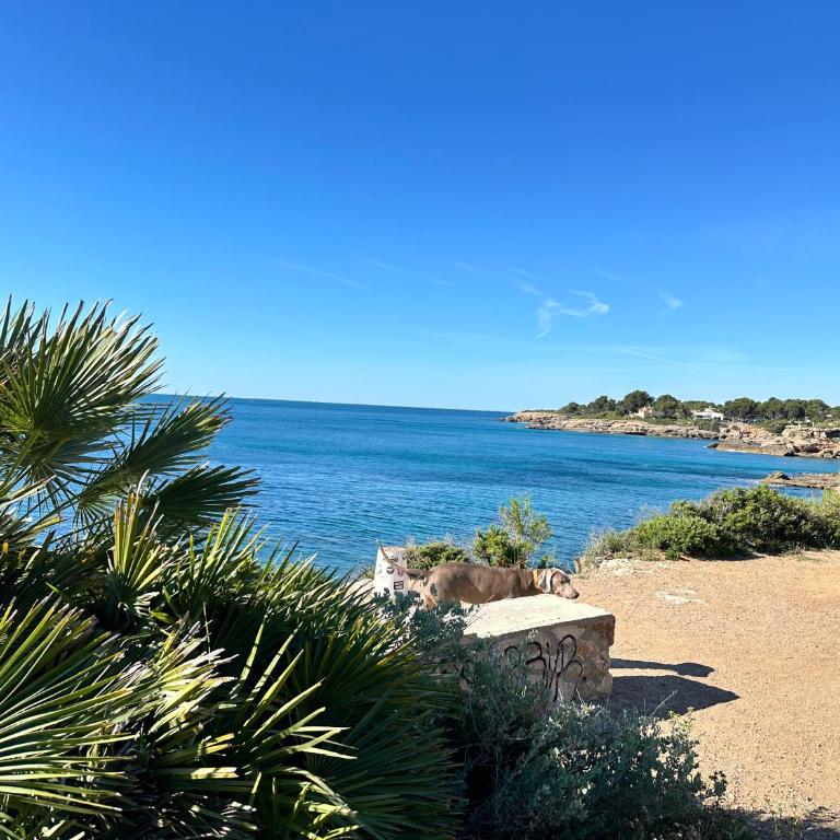 CANLEPEZ Villa avec piscine privée 8 personnes - Villa con piscina privada - 50