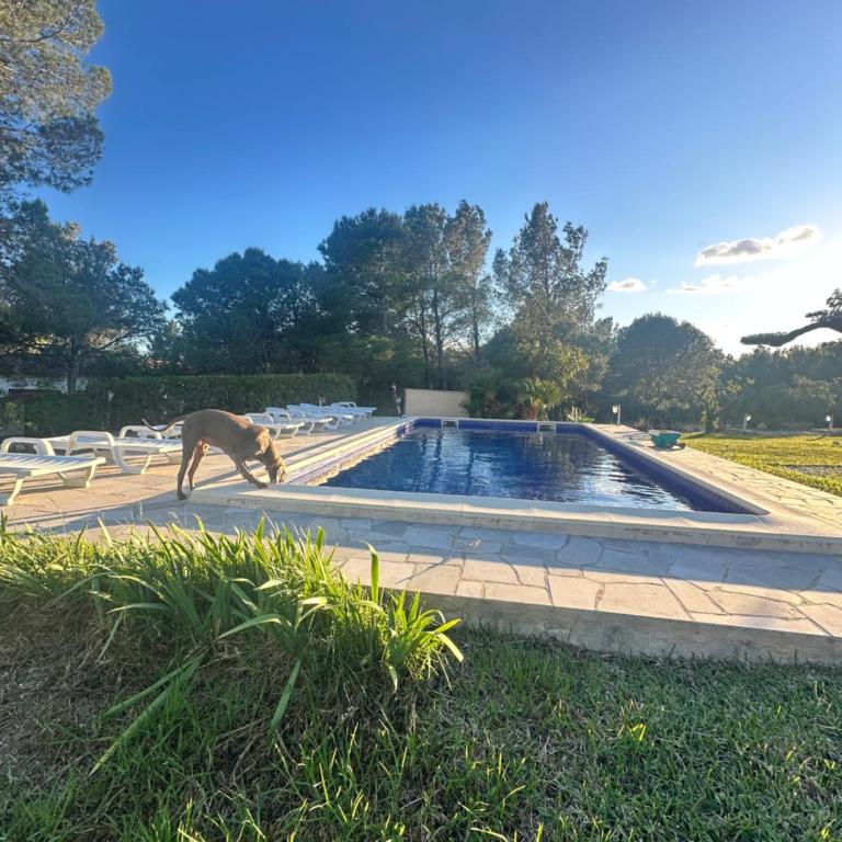 CANLEPEZ Villa avec piscine privée 8 personnes - Villa con piscina privada - 49
