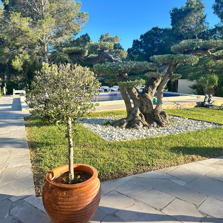 CANLEPEZ Villa avec piscine privée 8 personnes - Villa con piscina privada - 68
