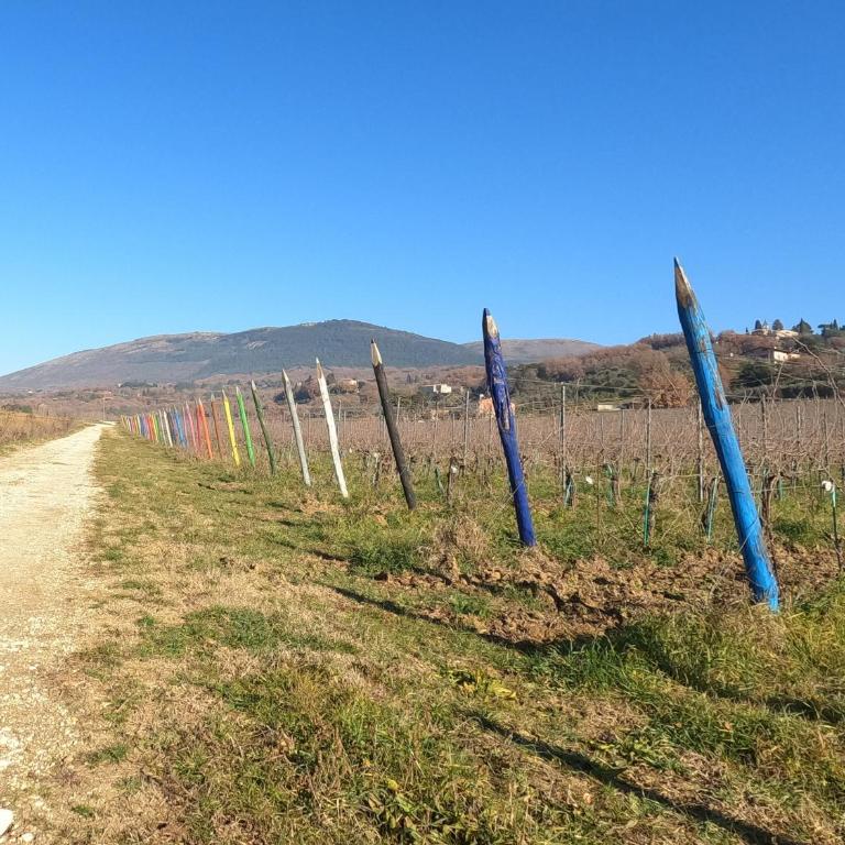 Umbria in Bici Guest House - Appartamento con 1 Camera da Letto - 34