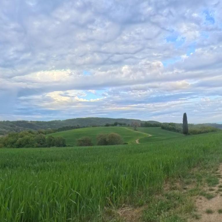 Umbria in Bici Guest House - Appartamento con 1 Camera da Letto - 39