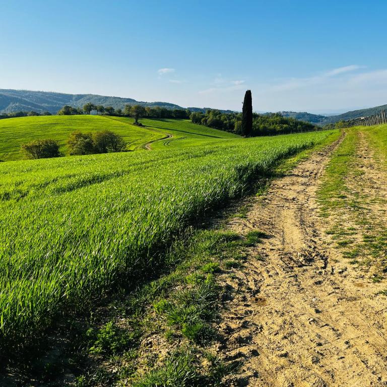 Umbria in Bici Guest House - Appartamento con 1 Camera da Letto - 43