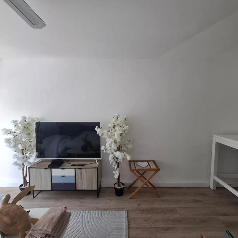 Appartement le dauphin - Appartamento con Vista Mare - 11