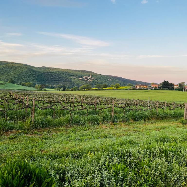 Umbria in Bici Guest House - Appartamento con 1 Camera da Letto - 48