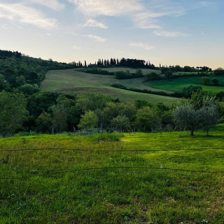Umbria in Bici Guest House - Appartamento con 1 Camera da Letto - 47
