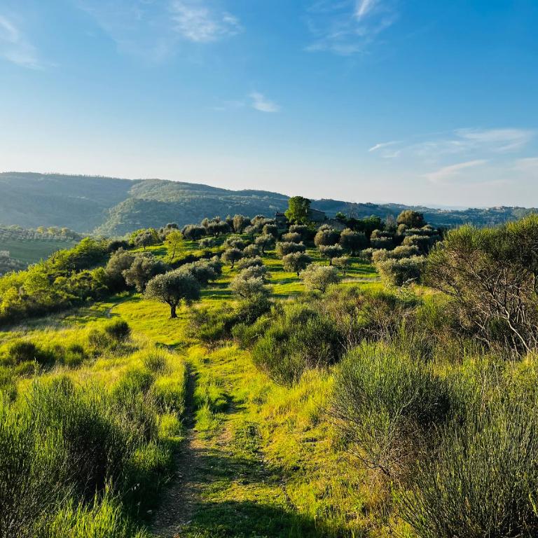 Umbria in Bici Guest House - Appartamento con 1 Camera da Letto - 49