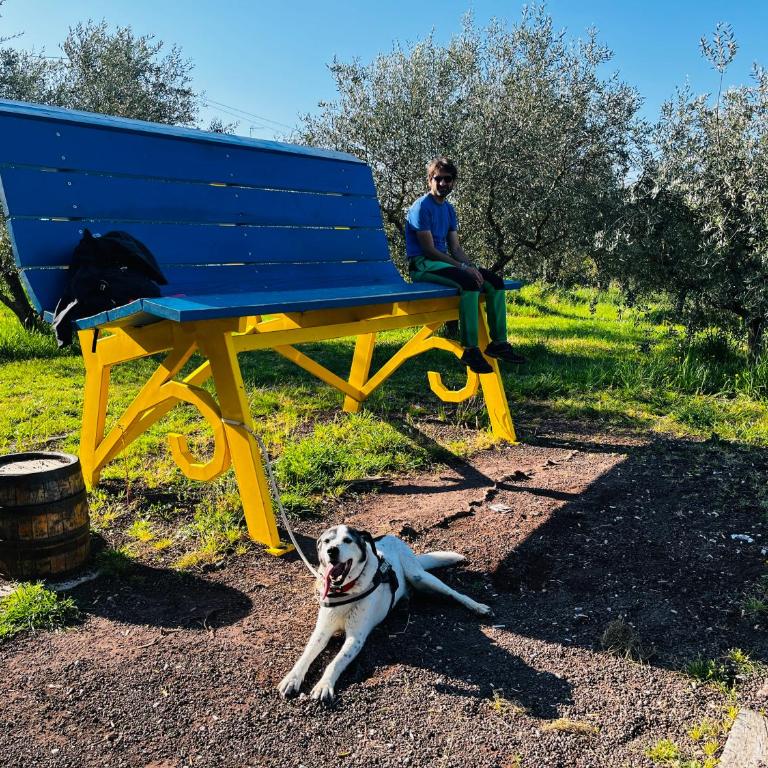 Umbria in Bici Guest House - Appartamento con 1 Camera da Letto - 52