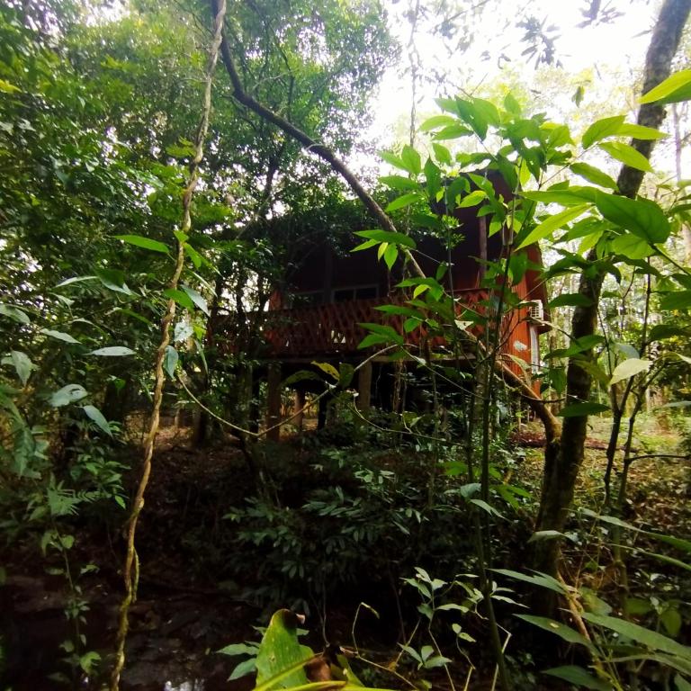 Yasí Yateré Reserva Agroecológica - Bungalow Familiar - 13