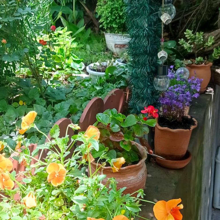 Belgrade Apartment Happy Garden - Appartement - Vue sur Jardin - 38