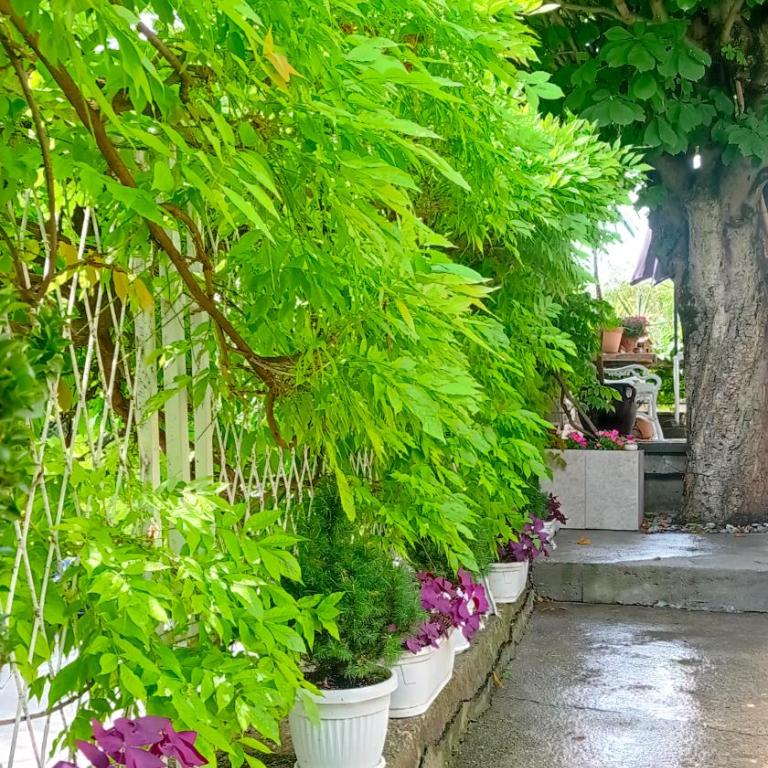 Belgrade Apartment Happy Garden - Appartement - Vue sur Jardin - 35