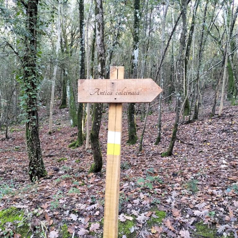 Umbria in Bici Guest House - Appartamento con 1 Camera da Letto - 64