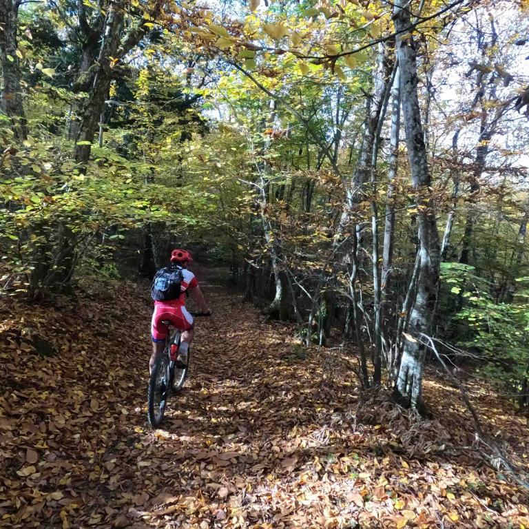 Umbria in Bici Guest House - Appartamento con 1 Camera da Letto - 66