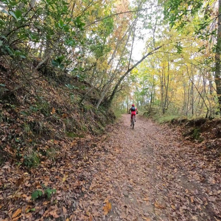 Umbria in Bici Guest House - Appartamento con 1 Camera da Letto - 67
