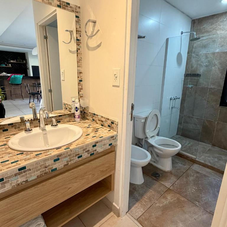 Verde Limon Loft (monoambiente) - One-Bedroom House - 21