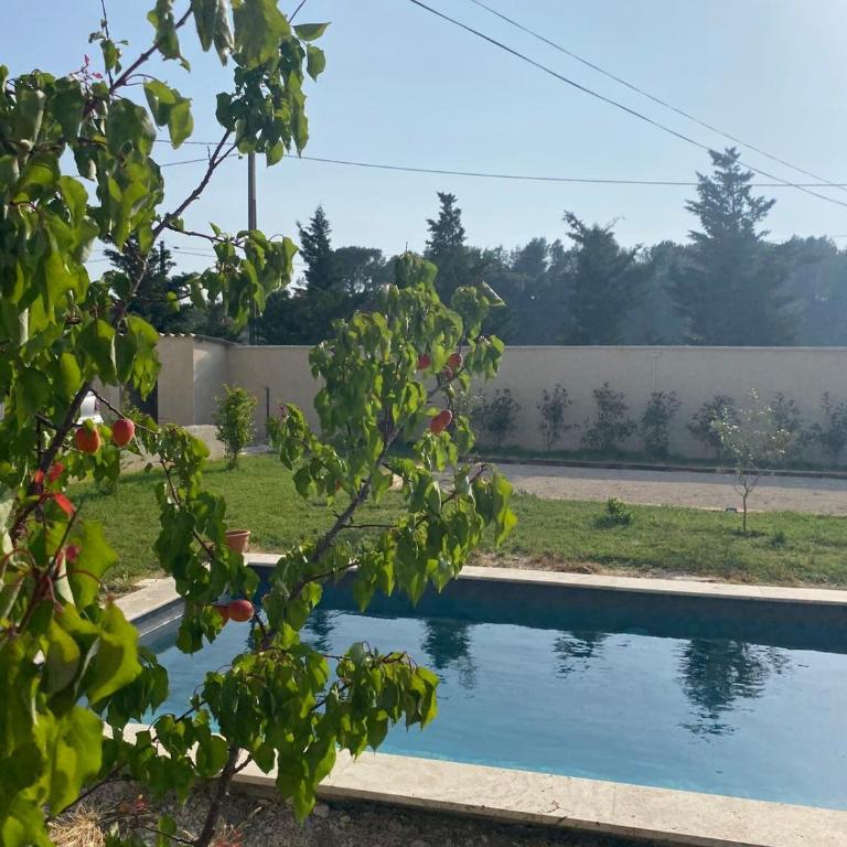 Bastide Caladone - Charme et authenticité - Maison de Vacances - 2