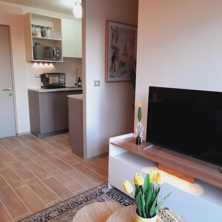 Elegante y de ubicación céntrica, de 2 dormitorios y 1 salón, ideal para 3 huéspedes y un máximo de 4 - Apartamento de 2 dormitorios - 24