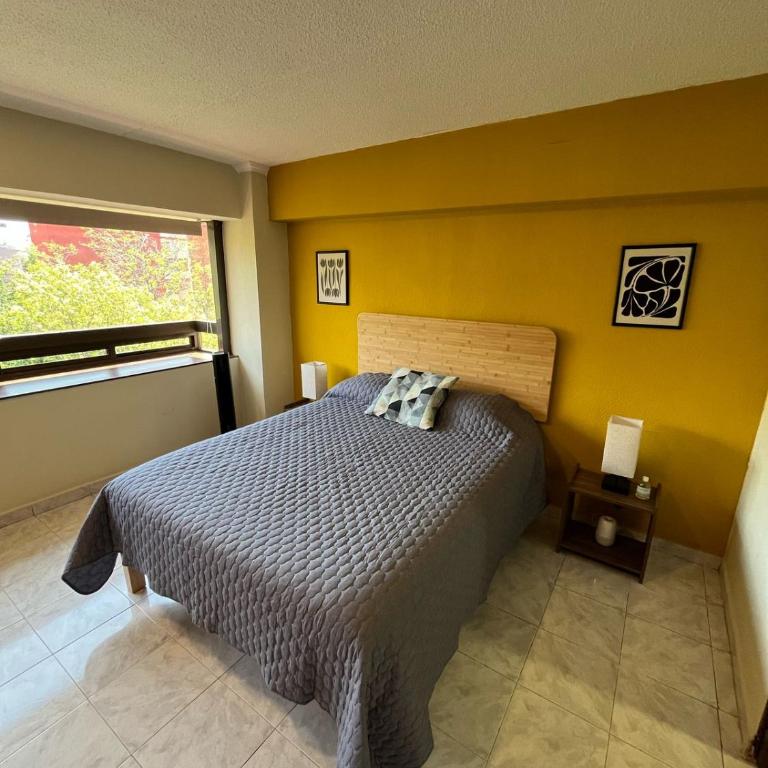Green View Loft Condesa - Apartamento de 3 dormitorios - 4