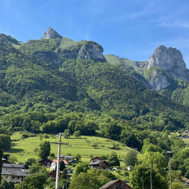 Studio St Férreol - Porte des Aravis et des Bauges, lac d'Annecy - Studio - 14