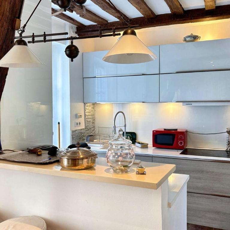Dans le quartier d Emily in Paris Duplex de charme - Appartement 1 Chambre - 16