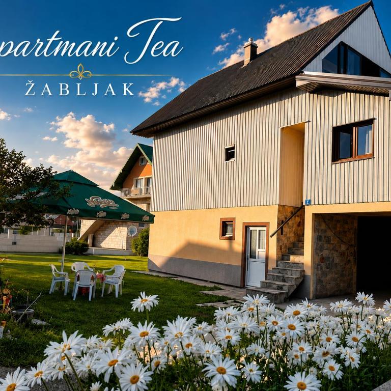 Studio Apartman Tea, Žabljak - Studio Apartment - 1