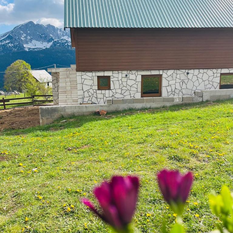 Aura Durmitor apartments - One-Bedroom Apartment - 18