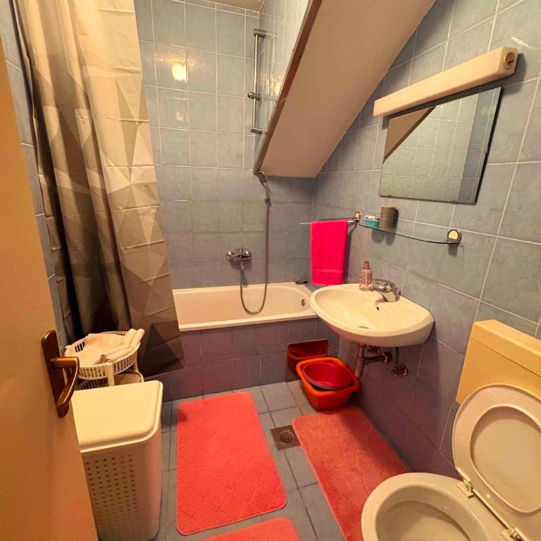Apartman Lejna - Apartman sa 3 Spavaće Sobe - 8