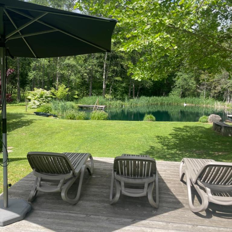 Landhaus Wulfenia - APARTMENT KLAGENFURT - Private Sauna, Smart-TV, Air Conditioning, Free Parking - Superior Apartment mit Sauna - 25