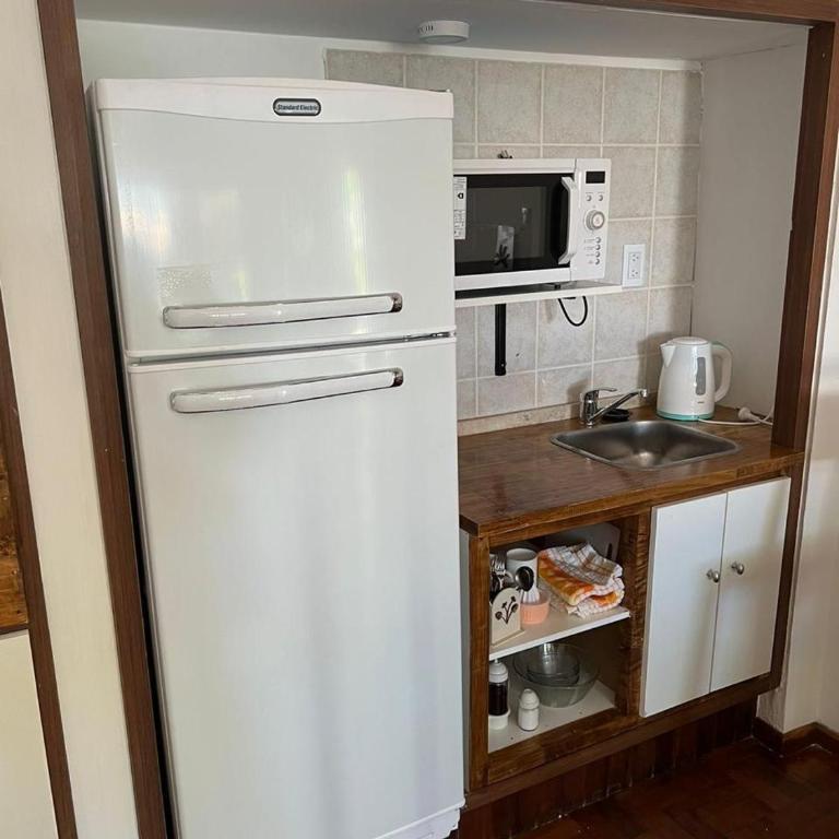Monoambiente céntrico, muy lindo - Apartamento de 1 dormitorio - 3