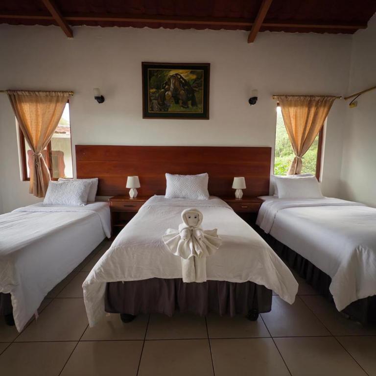 Piedras Blancas Lodge - Bungalow con vistas al jardín - 1
