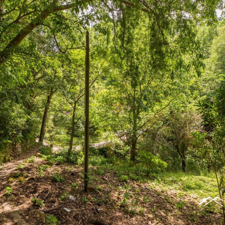 Beach | 1BR | AC | Paraggi | Peaceful Retreat | By Tilo - Appartamento con Vista sul Parco - 26