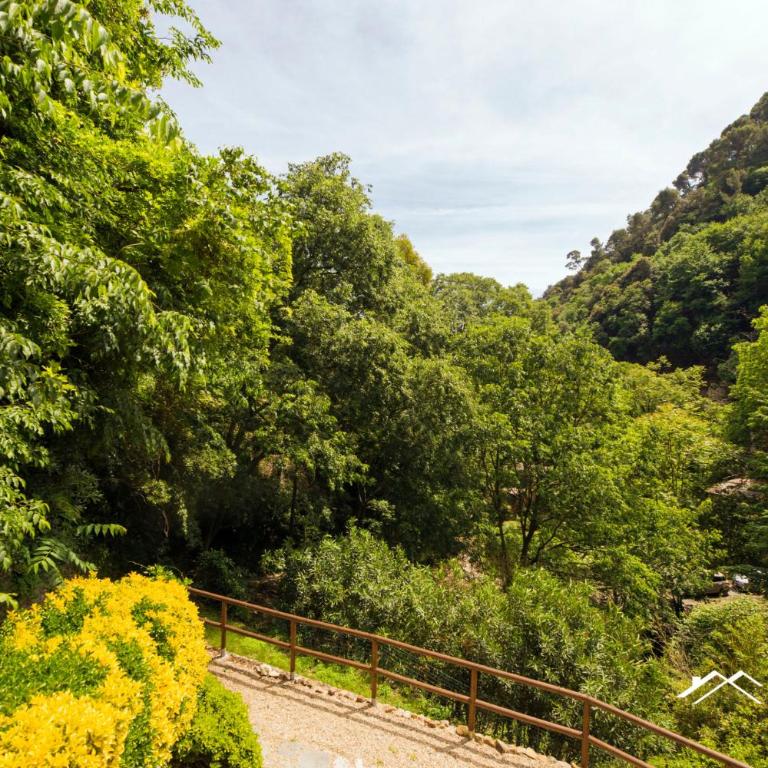 Beach | 1BR | AC | Paraggi | Peaceful Retreat | By Tilo - Appartamento con Vista sul Parco - 27