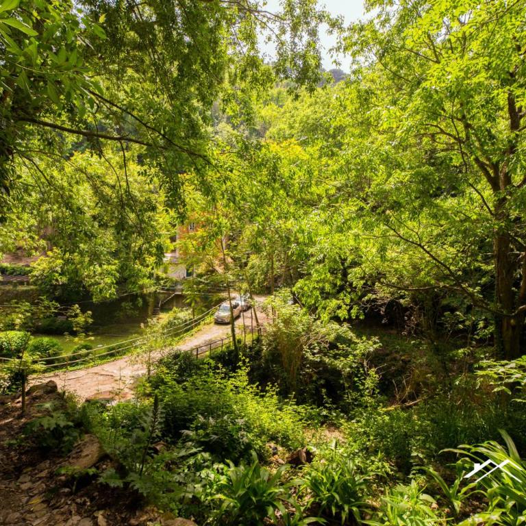 Beach | 1BR | AC | Paraggi | Peaceful Retreat | By Tilo - Appartamento con Vista sul Parco - 29