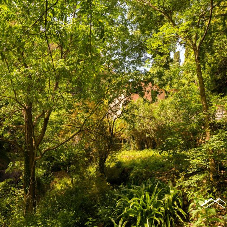 Beach | 1BR | AC | Paraggi | Peaceful Retreat | By Tilo - Appartamento con Vista sul Parco - 31