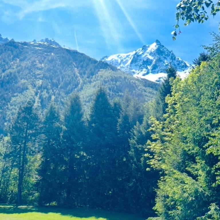 Appartement avec vue sur le Mont-Blanc à Chamonix - Appartement - 29