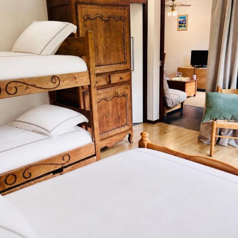 Appartement avec vue sur le Mont-Blanc à Chamonix - Appartement - 19