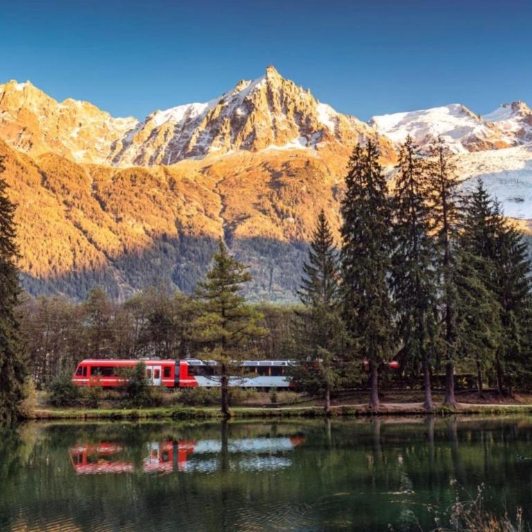 Appartement avec vue sur le Mont-Blanc à Chamonix - Appartement - 21