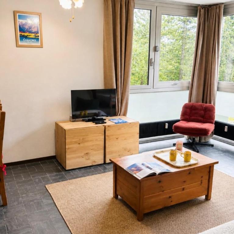 Appartement avec vue sur le Mont-Blanc à Chamonix - Appartement - 24