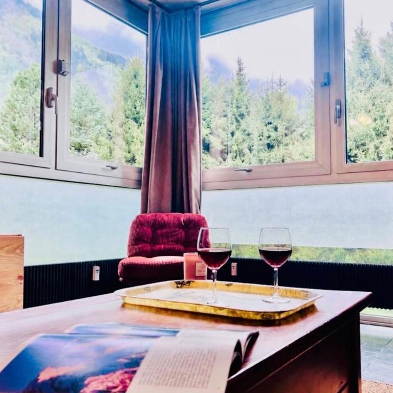 Appartement avec vue sur le Mont-Blanc à Chamonix - Appartement - 1