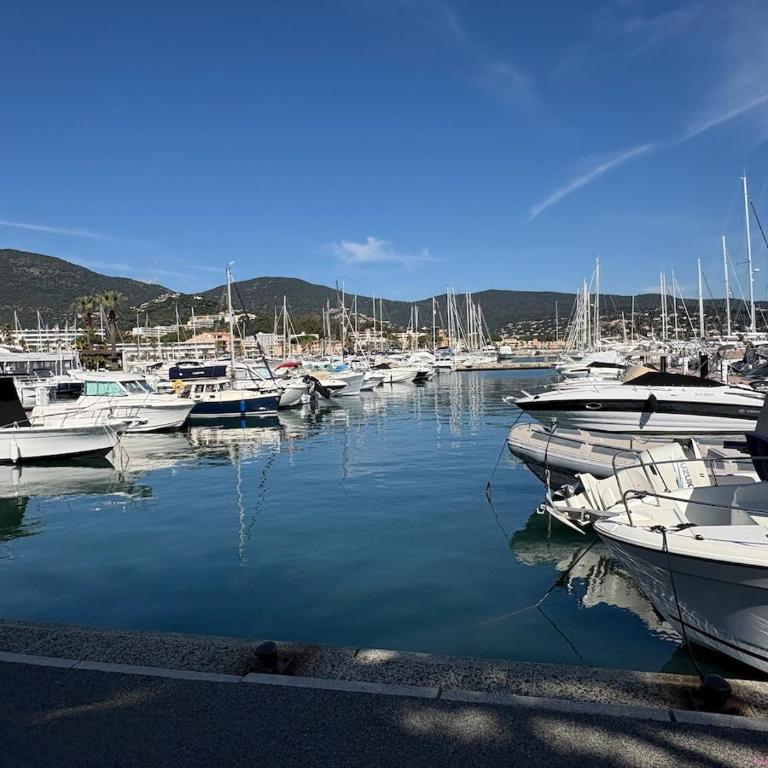 Nice duplex close to the beach and the center - Appartement en Duplex - 7