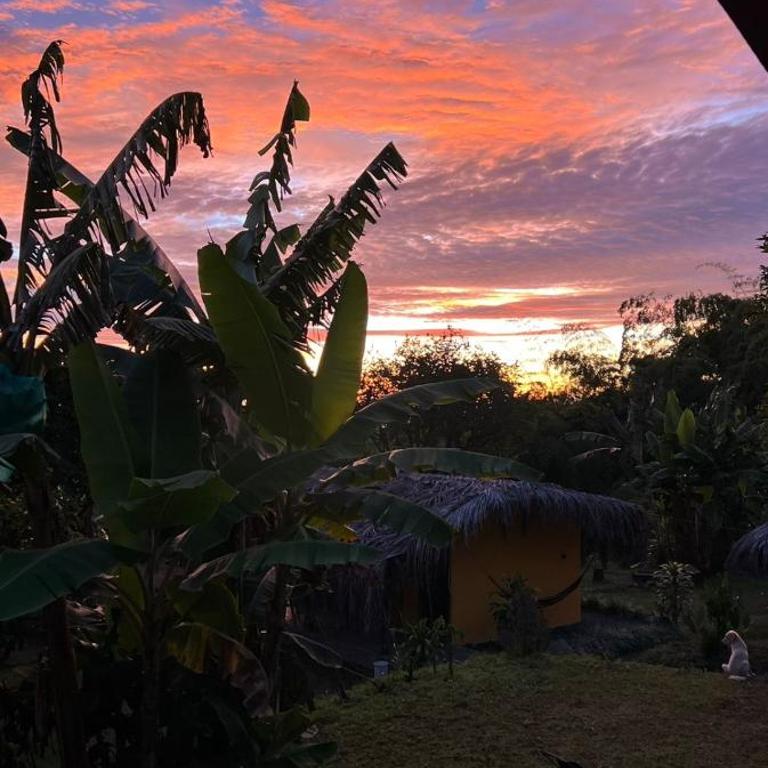 Hotel Cabañas Del Quindio - Double or Twin Room with Private External Bathroom - 3