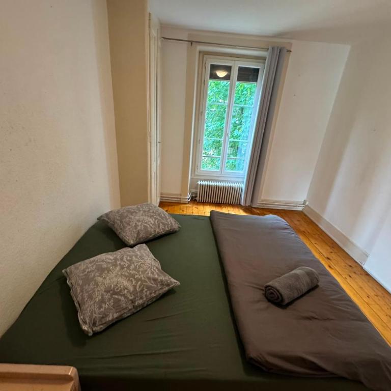 Grand 3 piece au Centre Geneve - Appartement 2 Chambres - 1